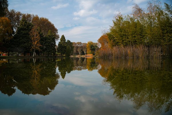 Citrobiotic : booster naturel pour votre santé quotidienne